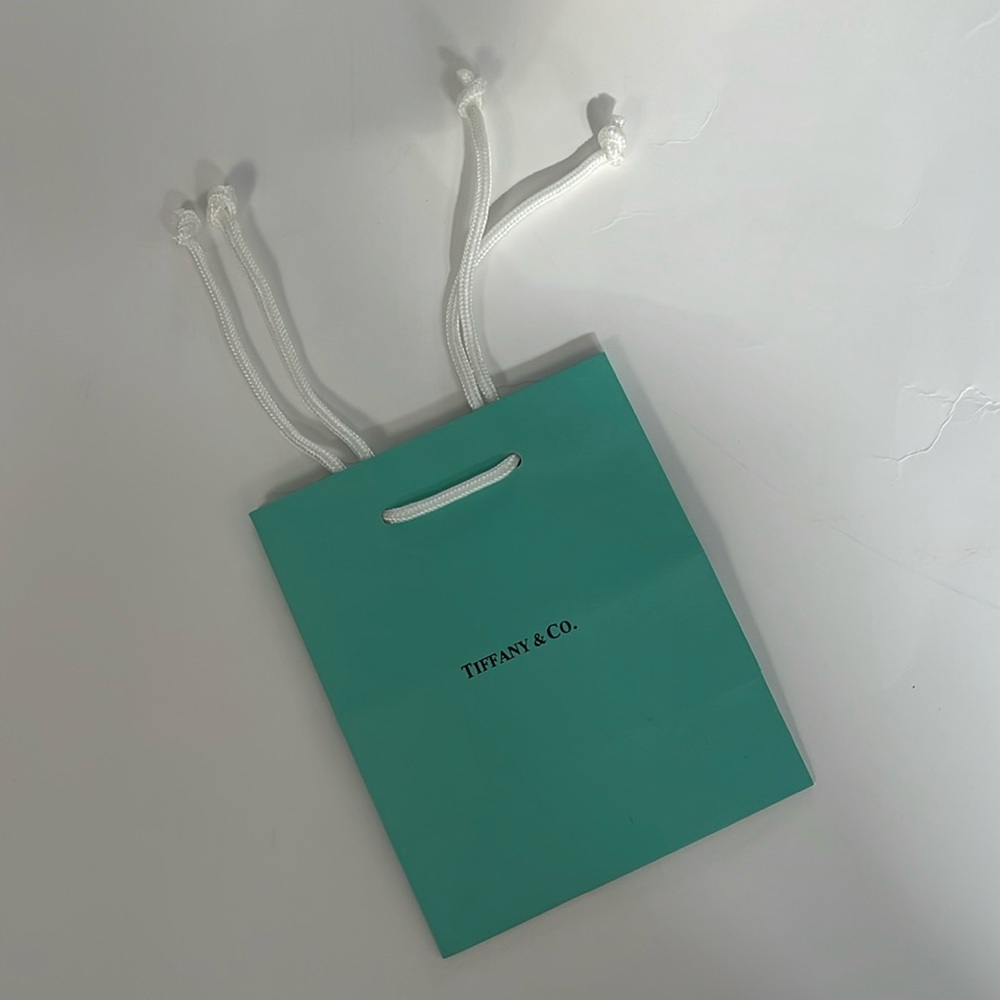TIFFANY & CO. Gift Bag